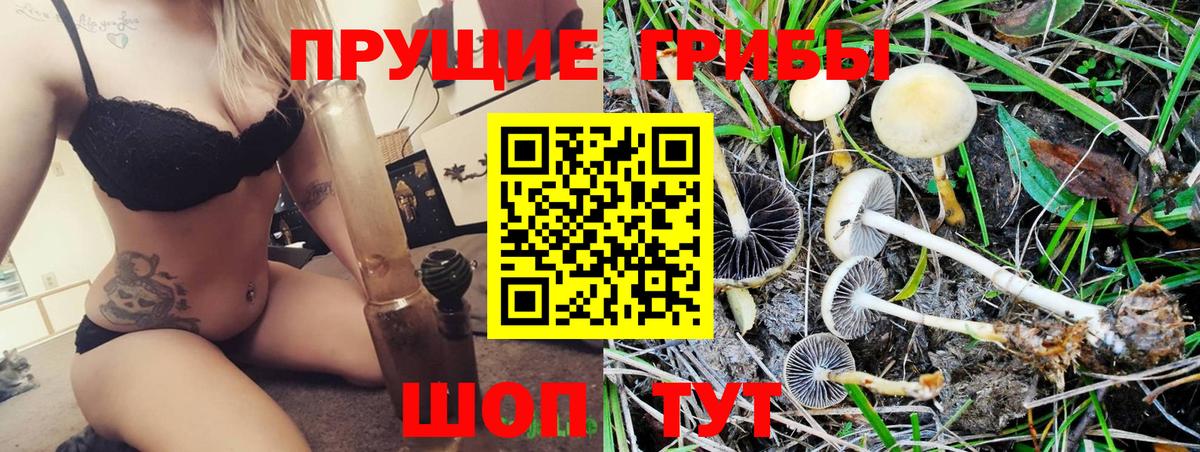 Зима  Псилоцибиновые грибы прущие грибы  Вход с VPN 